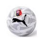 Футбольный мяч Puma Evospeed Размер 5